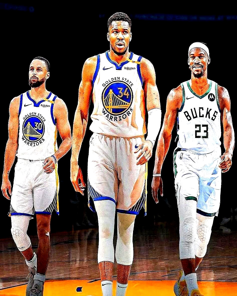 分组回测 分组回测