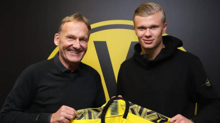 个分区的赛 个分区的赛